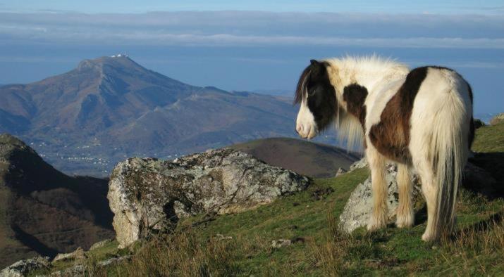 Proche Et Montagnes Du Pays-basque