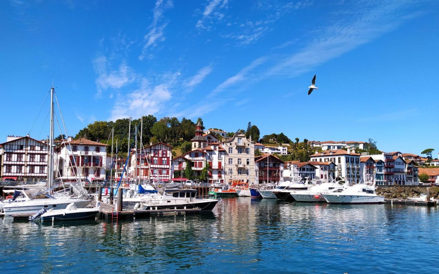 Proche Et Montagnes Du Pays-basque Appartement *